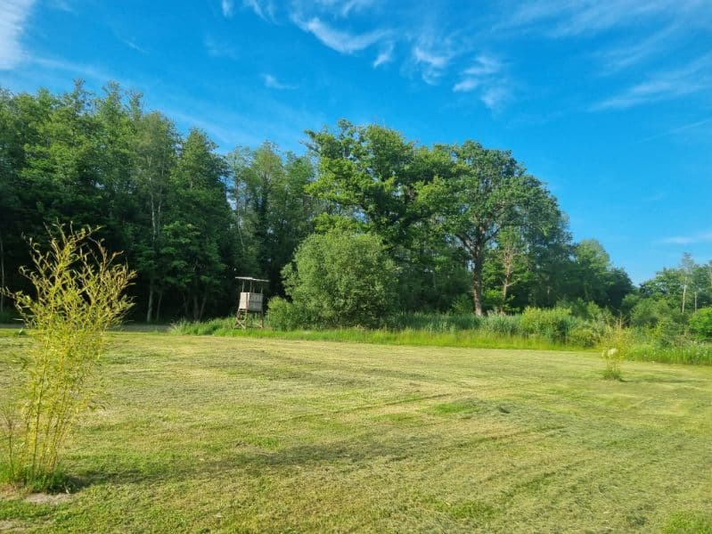 Etang aux portes de la Sologne 