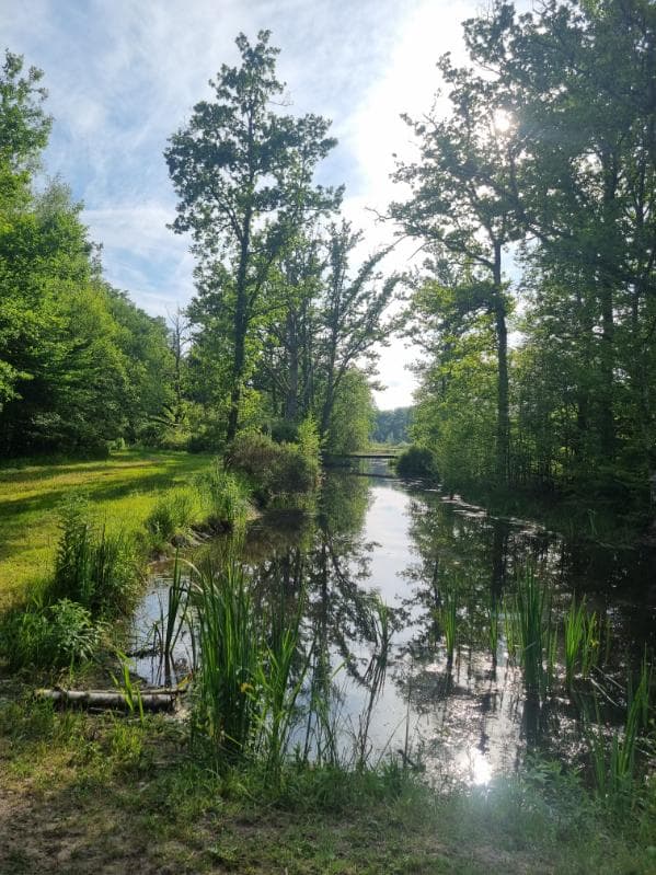 Etang aux portes de la Sologne 