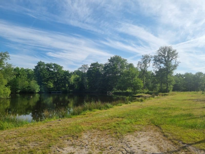 Etang aux portes de la Sologne 