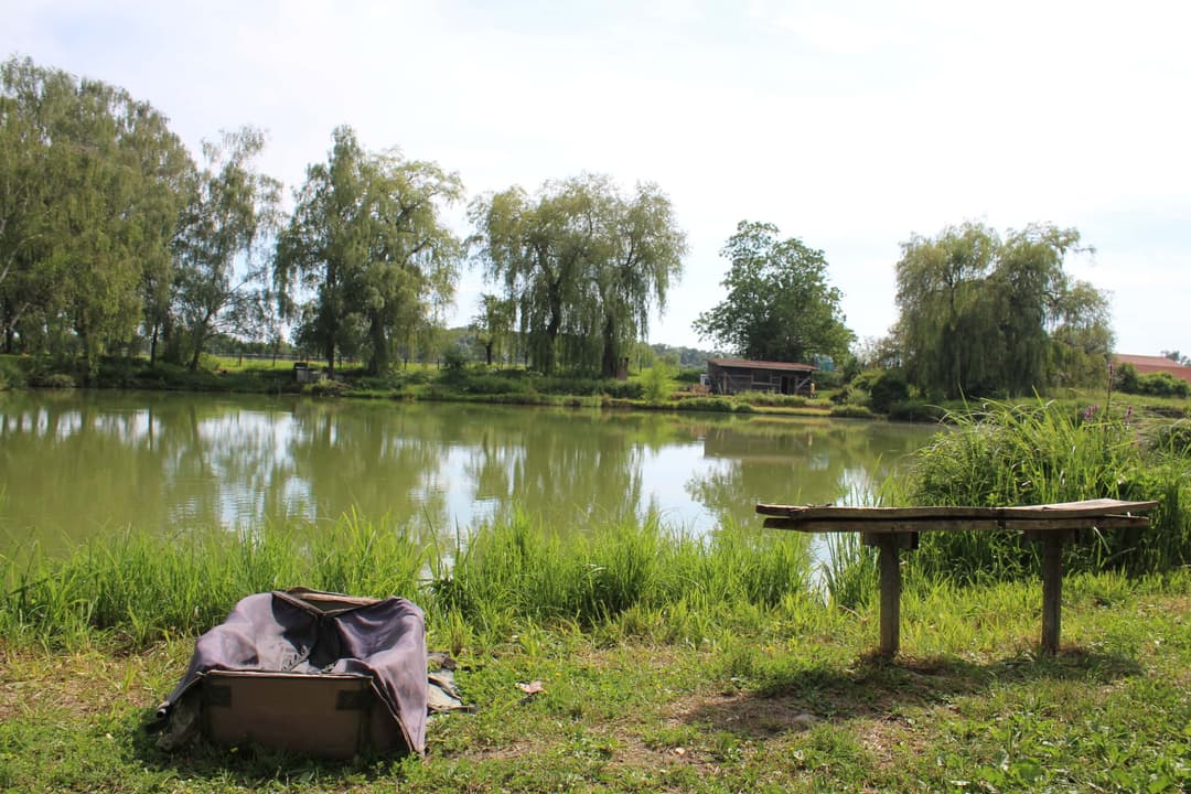 Etang carpodrome avec chalet en Alsace 