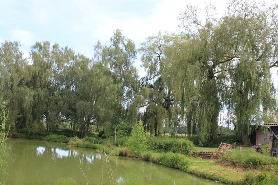Etang carpodrome avec chalet en Alsace 