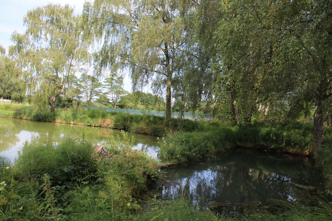 Etang carpodrome avec chalet en Alsace 