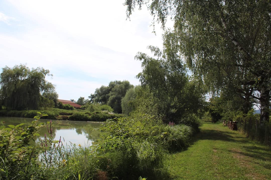Etang carpodrome avec chalet en Alsace 