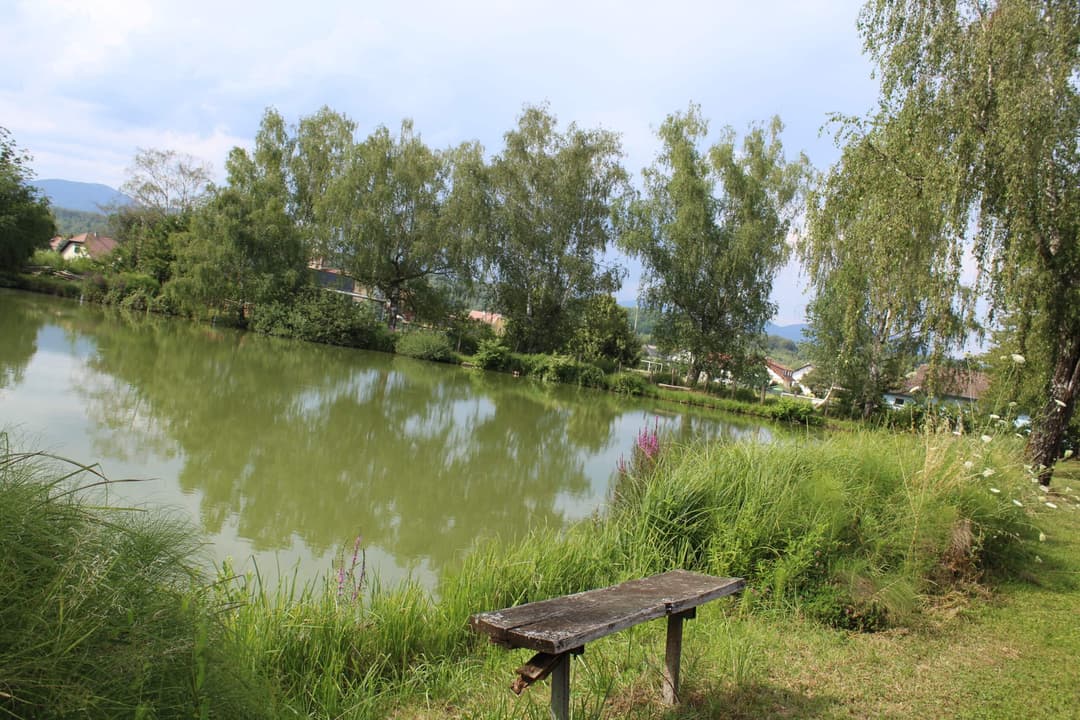 Etang carpodrome avec chalet en Alsace 