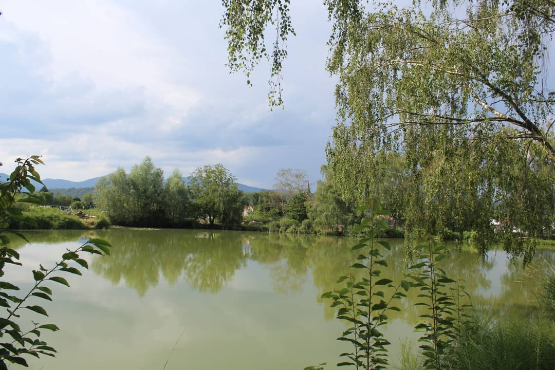 Etang carpodrome avec chalet en Alsace 