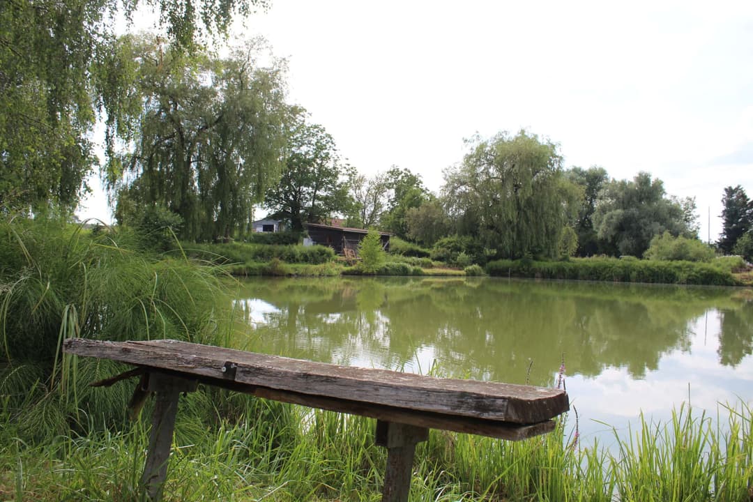 Etang carpodrome avec chalet en Alsace 
