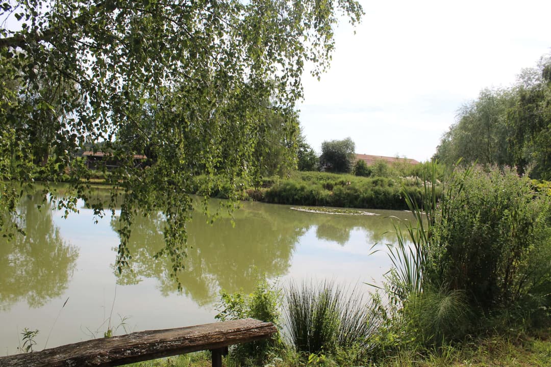Etang carpodrome avec chalet en Alsace 