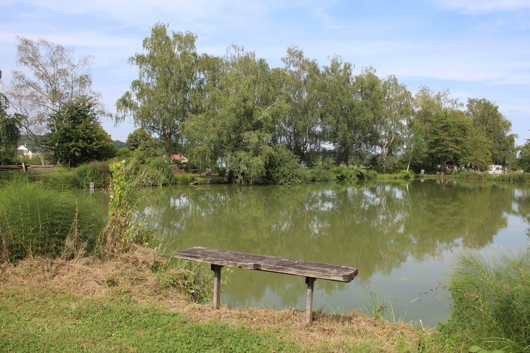 Etang carpodrome avec chalet en Alsace 