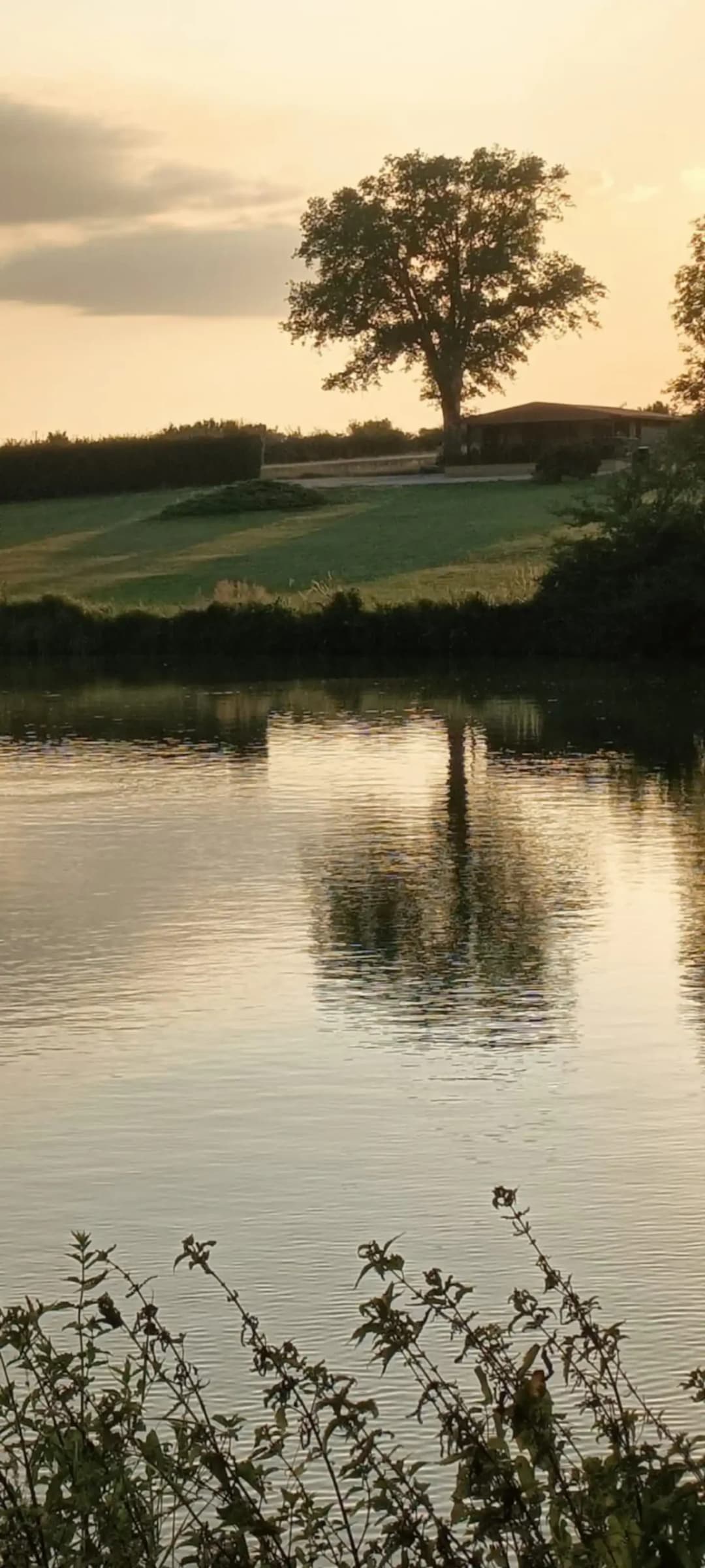 Etang de 3.5 Ha avec chalet 6 couchages dans une propriété de 10 Ha 
