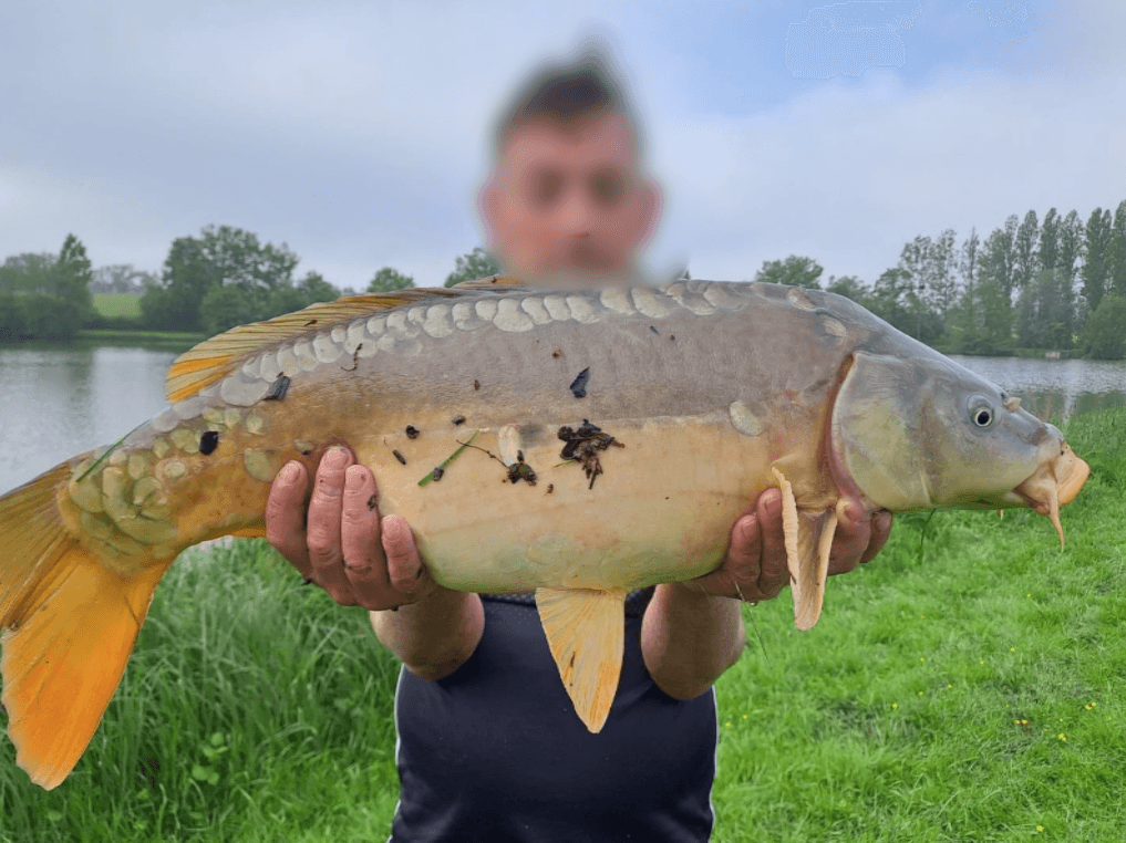Etang de 3.5 Ha avec chalet 6 couchages dans une propriété de 10 Ha 