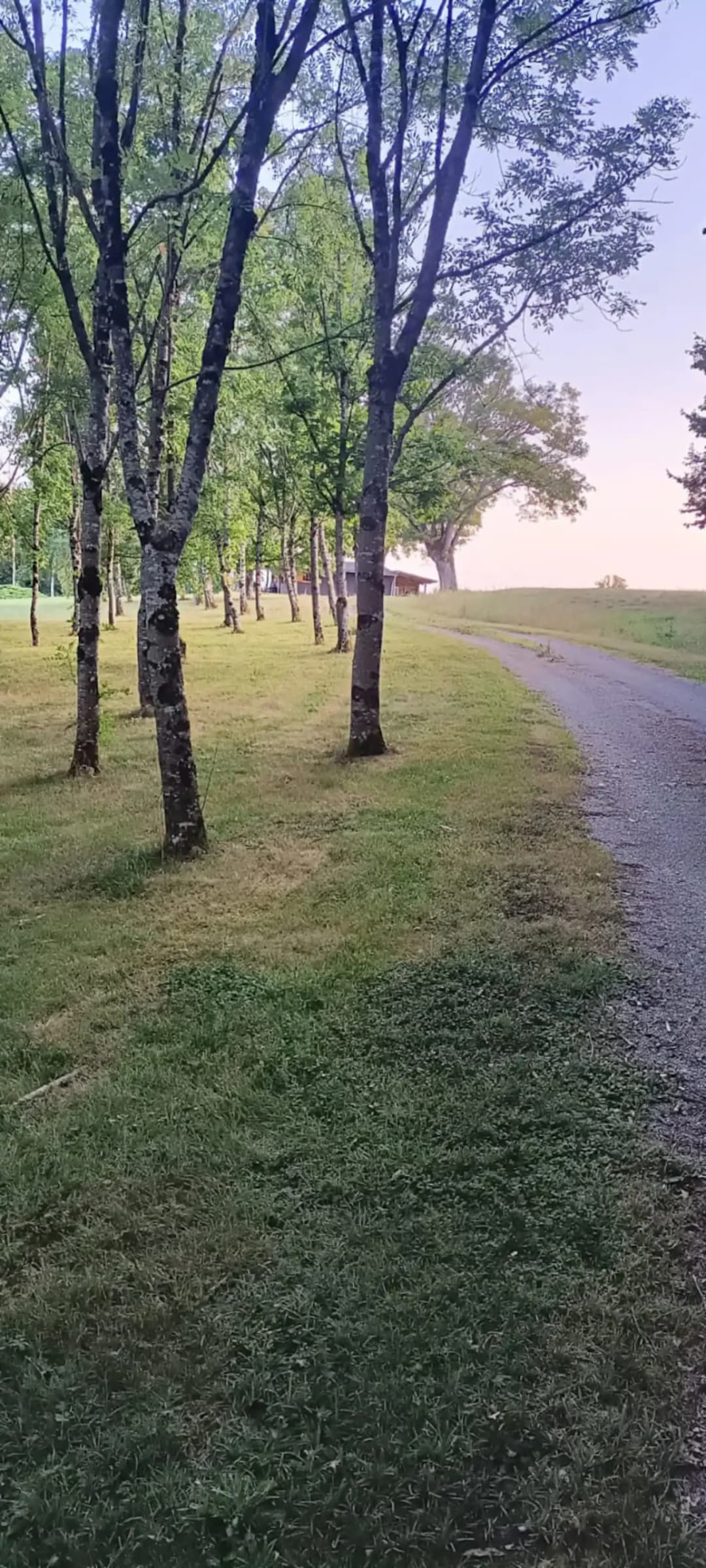 Etang de 3.5 Ha avec chalet 6 couchages dans une propriété de 10 Ha 