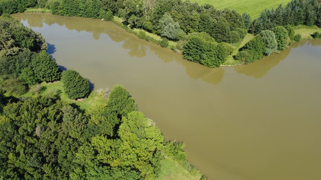 Etang de 3.5 Ha avec chalet 6 couchages dans une propriété de 10 Ha 