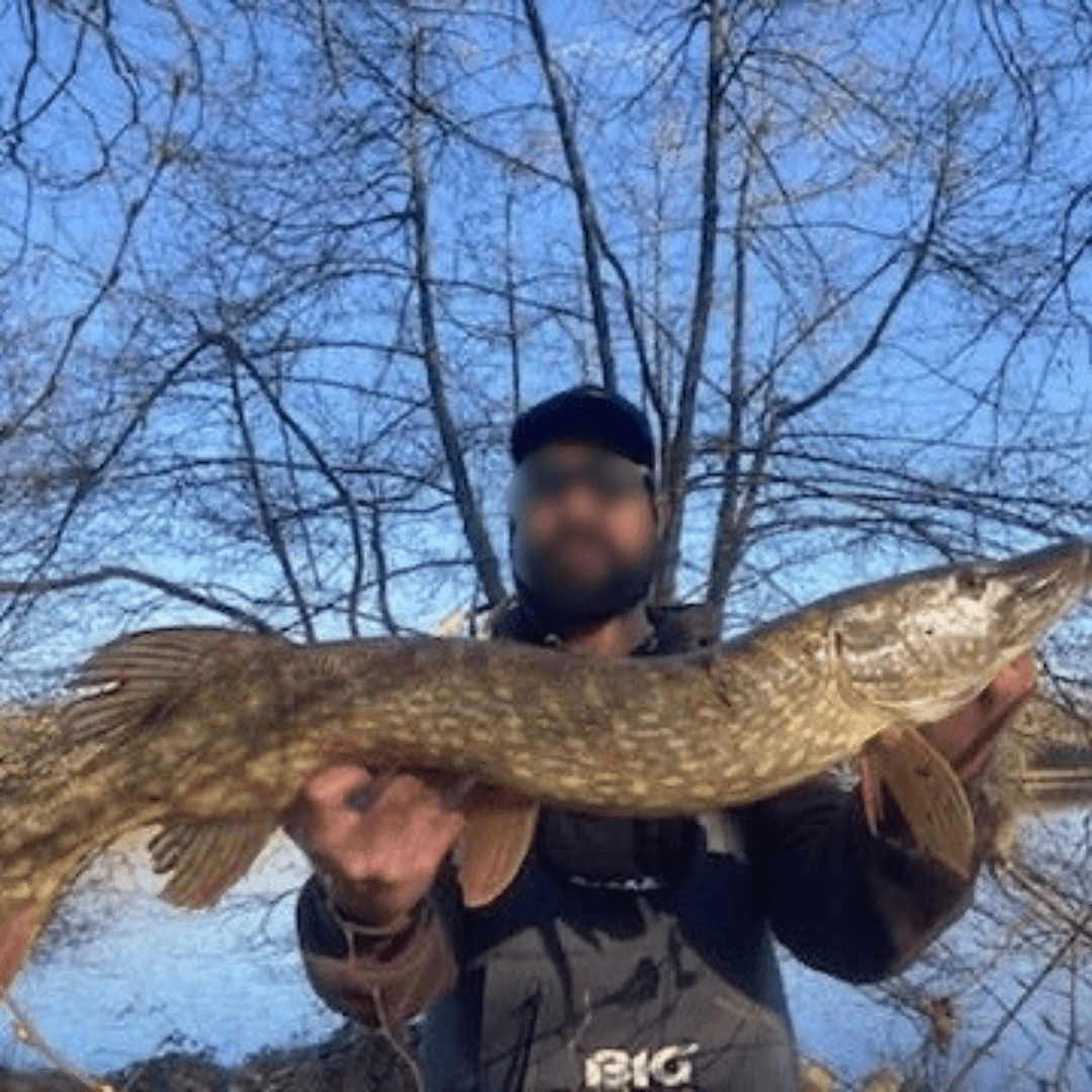 Etang de 3.5 Ha avec chalet 6 couchages dans une propriété de 10 Ha 