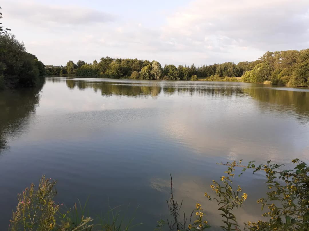 Etang de 3.5 Ha avec chalet 6 couchages dans une propriété de 10 Ha 