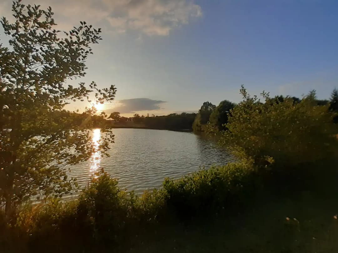 Etang de 3.5 Ha avec chalet 6 couchages dans une propriété de 10 Ha 