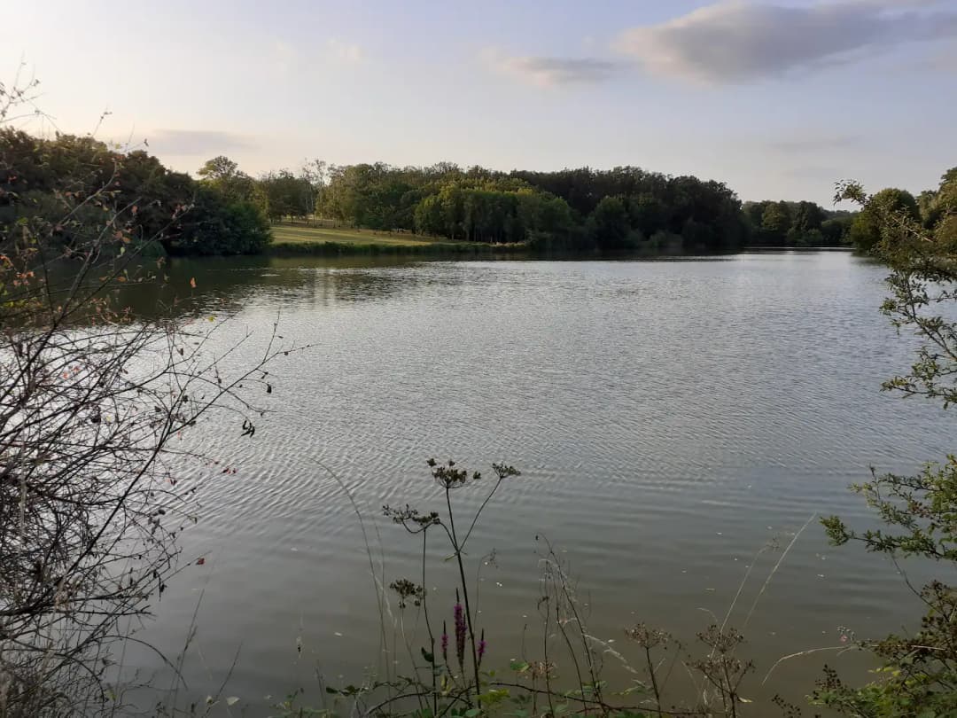 Etang de 3.5 Ha avec chalet 6 couchages dans une propriété de 10 Ha 