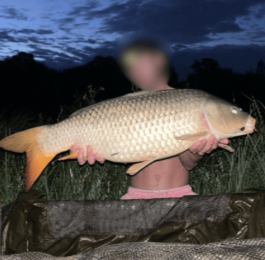 Etang de 3.5 Ha avec chalet 6 couchages dans une propriété de 10 Ha 
