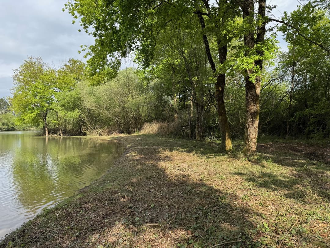 Location étang de 2.5ha en Sologne pêche du brochet 