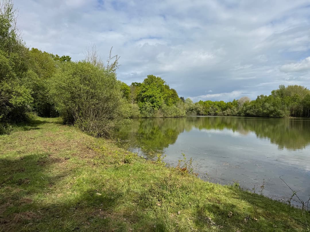 Location étang de 2.5ha en Sologne pêche du brochet 