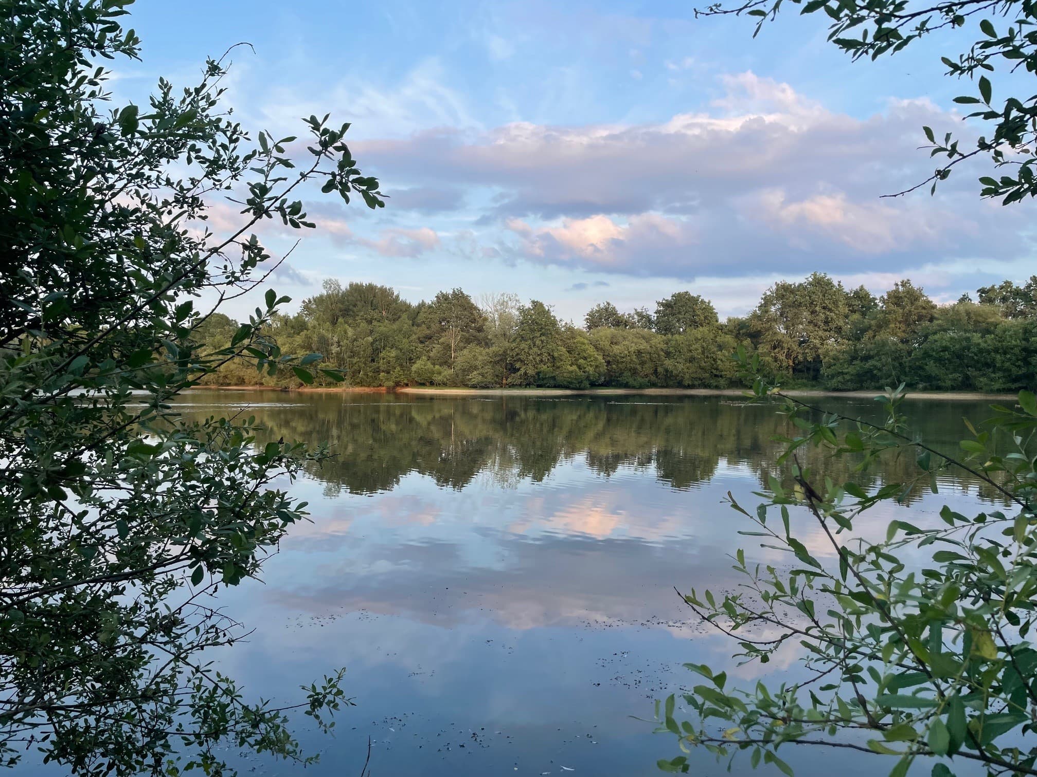 Location étang de 2.5ha en Sologne pêche du brochet 
