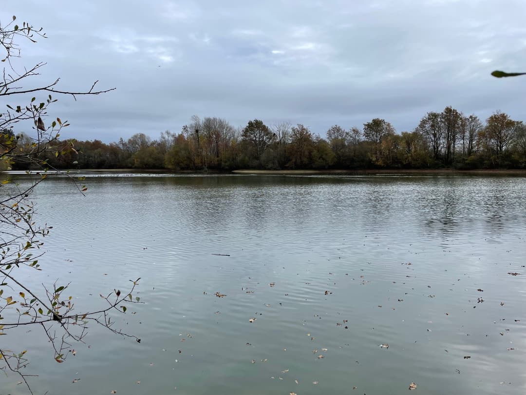 Location étang de 2.5ha en Sologne pêche du brochet 