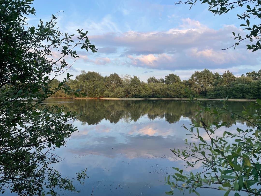 Gite entre Loire et Sologne avec accès à un étang de 2.5ha 