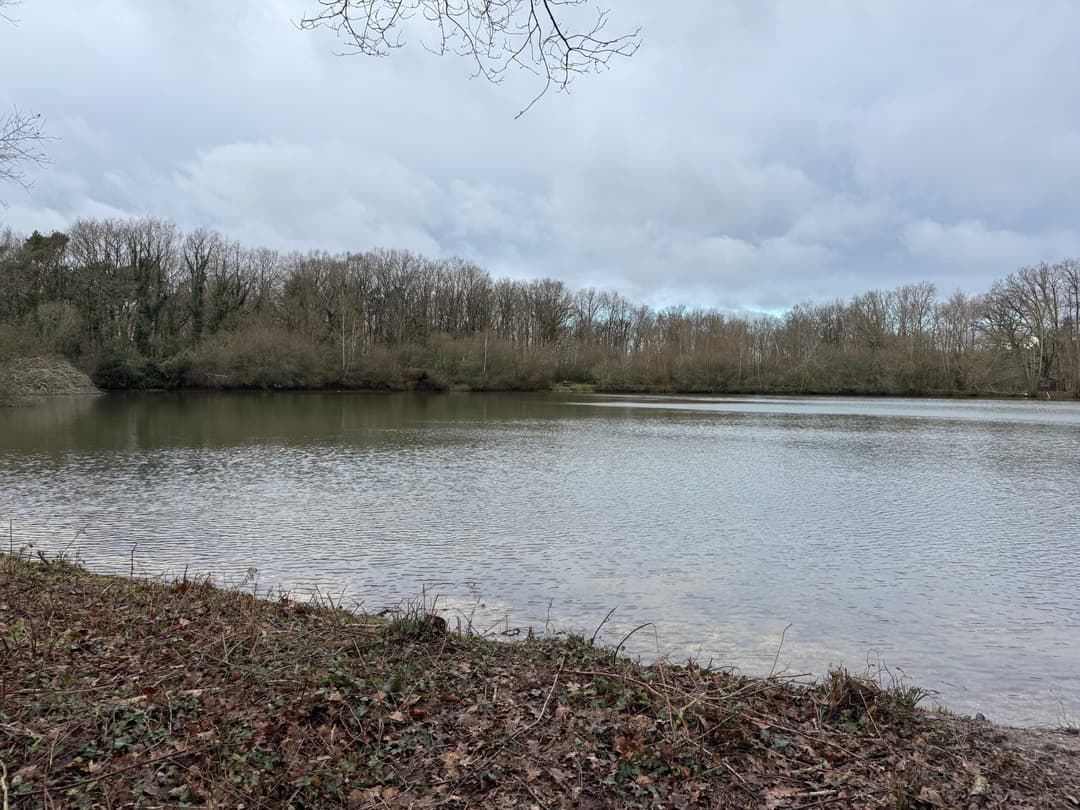 Gite entre Loire et Sologne avec accès à un étang de 2.5ha 