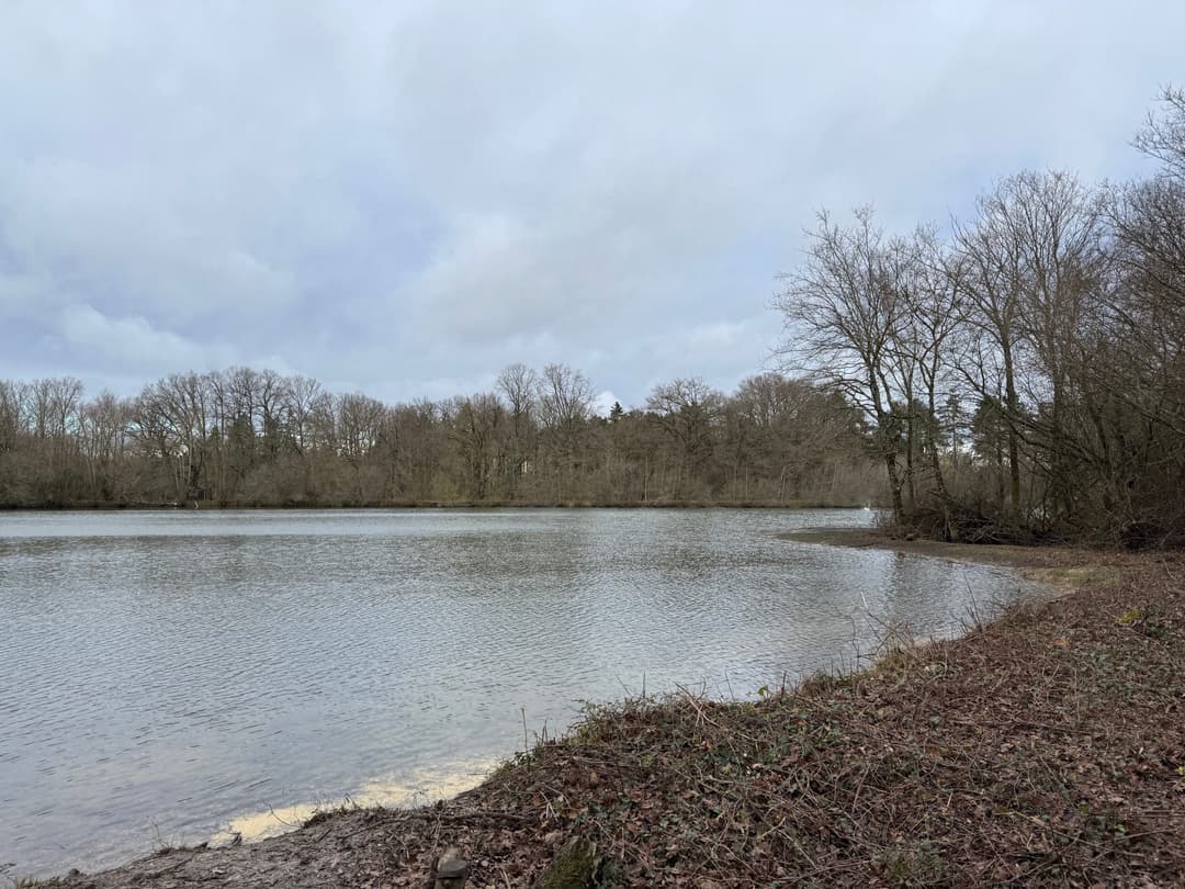 Location étang de 2.5ha en Sologne pêche du brochet 