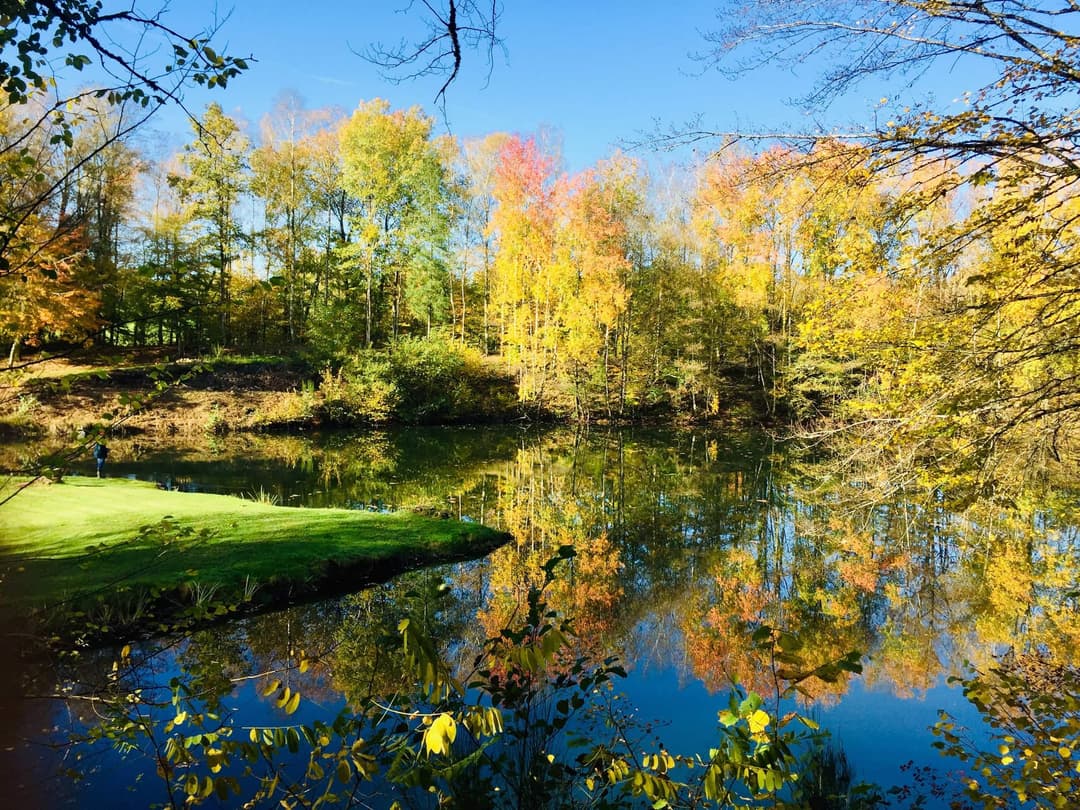 Gîte avec un lac dans la Creuse – réservoir de truites trophées 