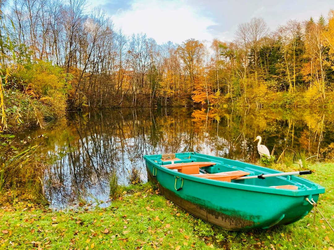 Gîte avec un lac dans la Creuse – réservoir de truites trophées 