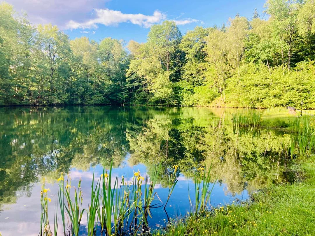Gîte avec un lac dans la Creuse – réservoir de truites trophées 