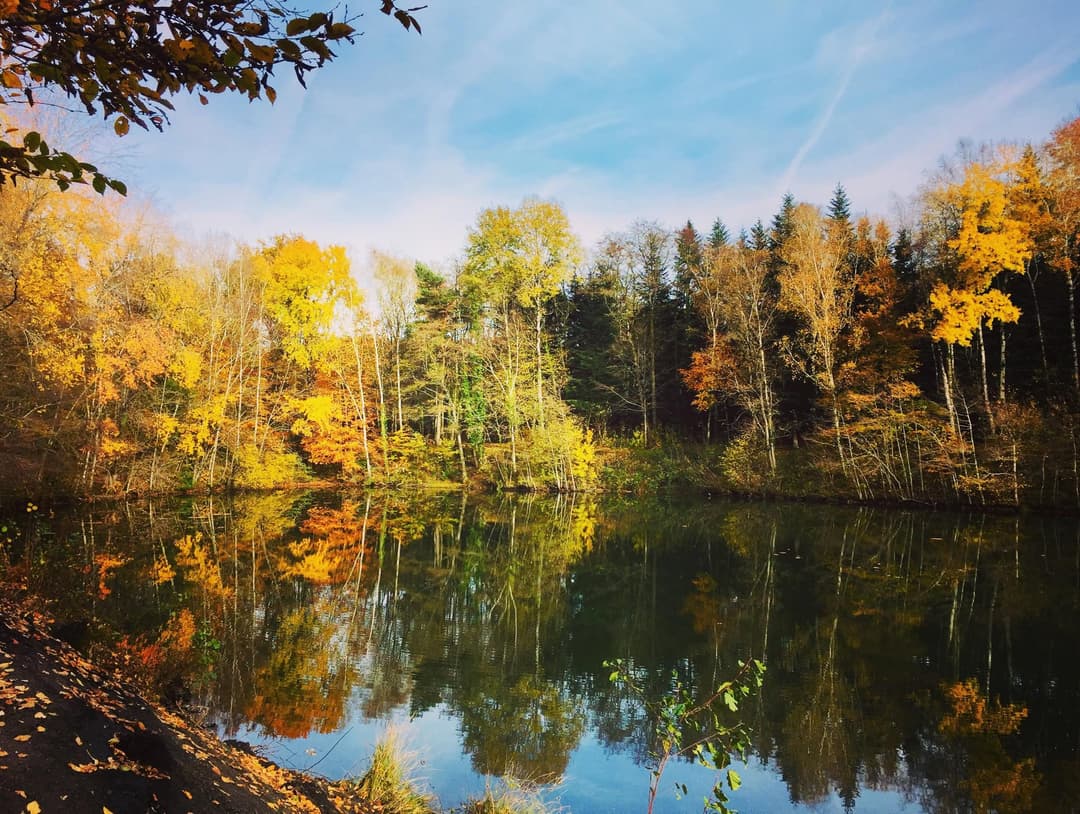 Gîte avec un lac dans la Creuse – réservoir de truites trophées 
