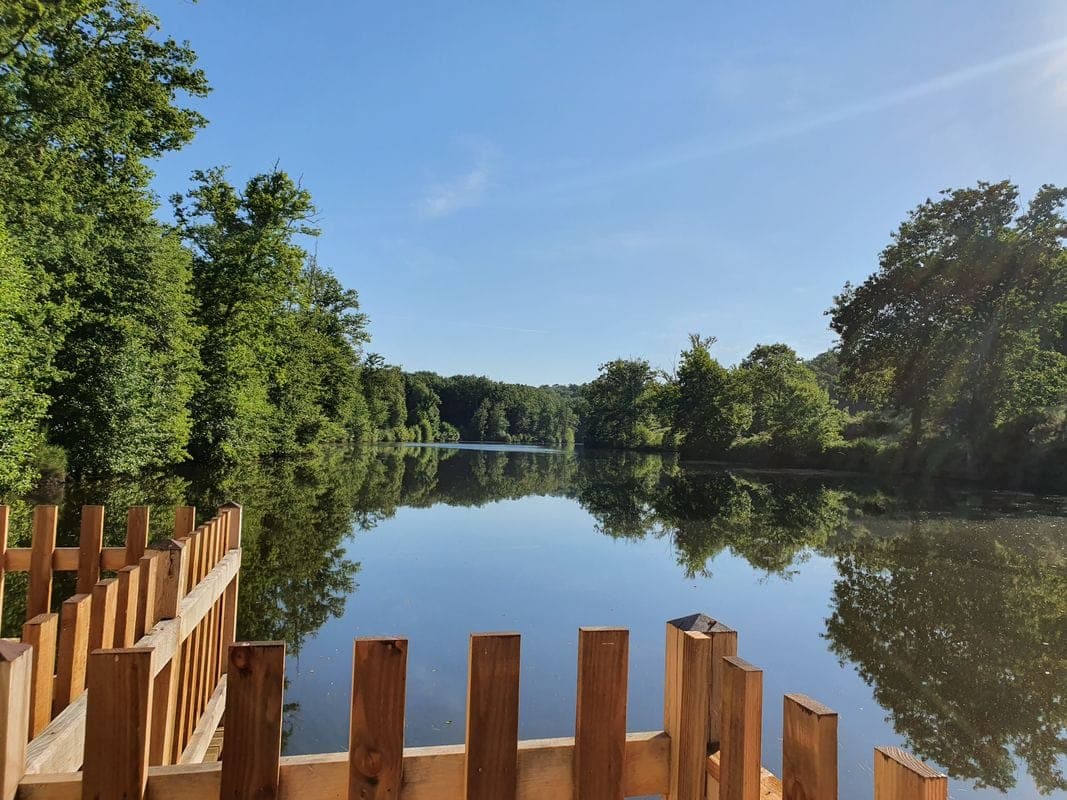 Chalet au bord de l’eau, terrasse sur pilotis sur étang de pêche privé en pleine nature en Dordogne 