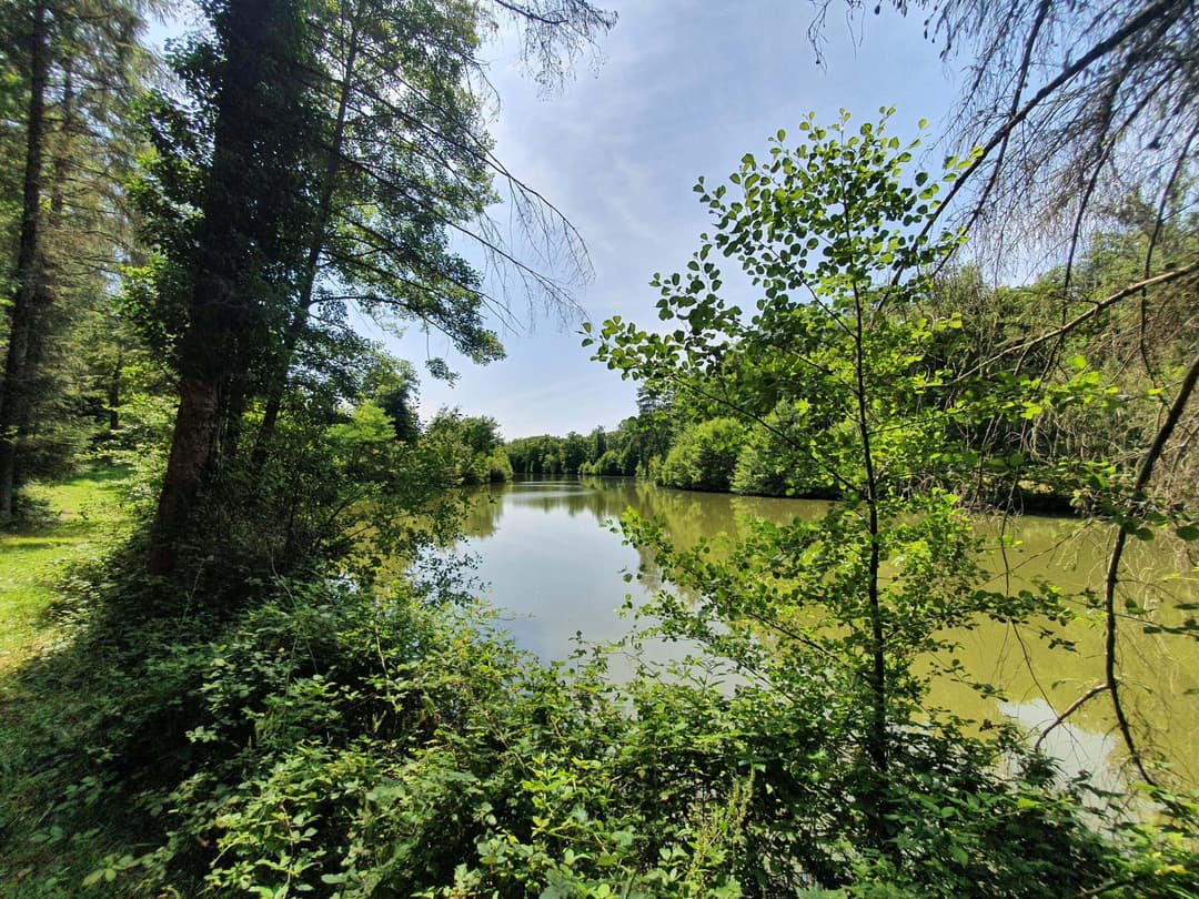 Chalet au bord de l’eau, terrasse sur pilotis sur étang de pêche privé en pleine nature en Dordogne 