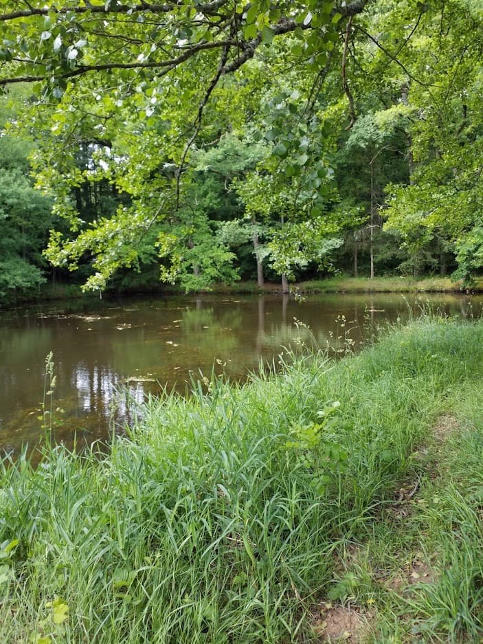 Gite d'Hippolyte avec étang piscicole privé à 8 km