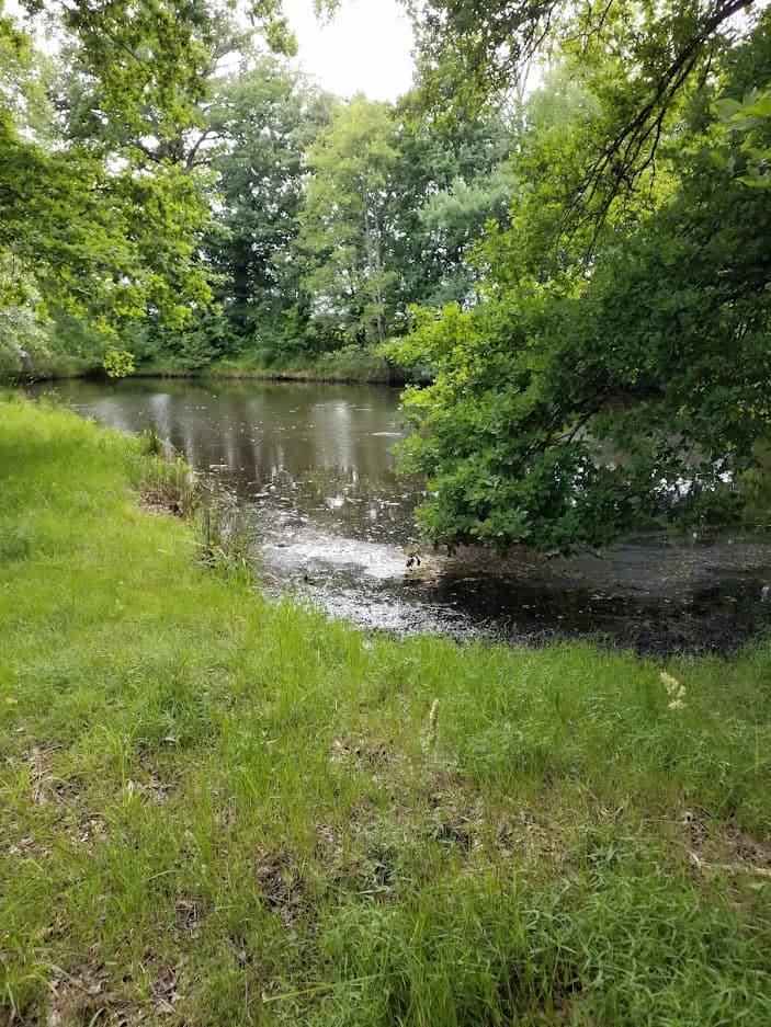 Gite d'Hippolyte avec étang piscicole privé à 8 km
