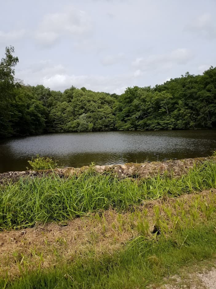 Gite d'Hippolyte avec étang piscicole privé à 8 km