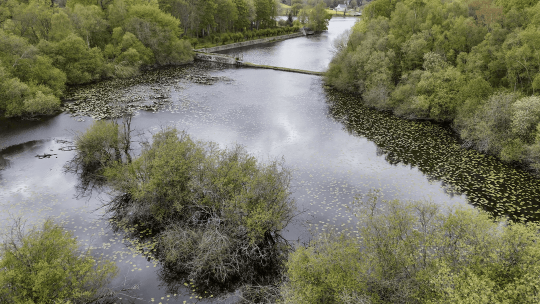 Etang de 20ha avec cabane perchée sur l’eau 