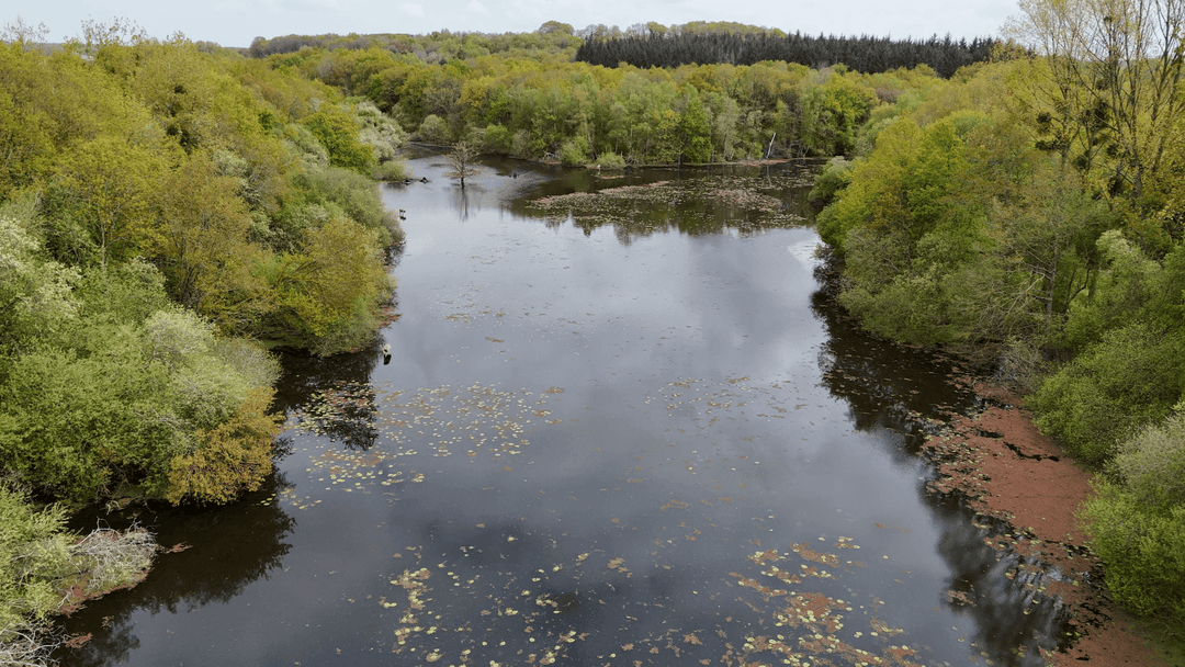 Etang de 20ha avec cabane perchée sur l’eau 