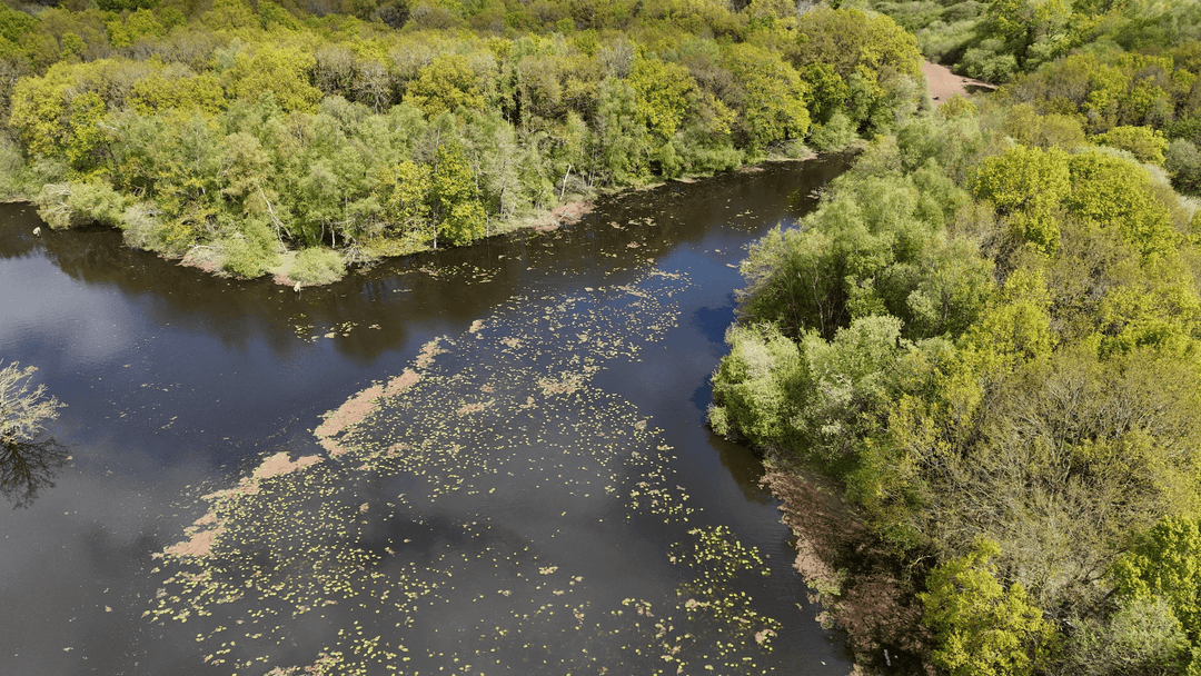 Etang de 20ha avec cabane perchée sur l’eau 