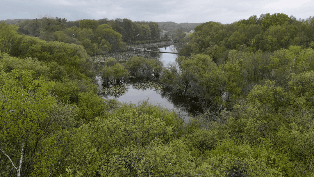 Etang de 20ha avec cabane perchée sur l’eau 