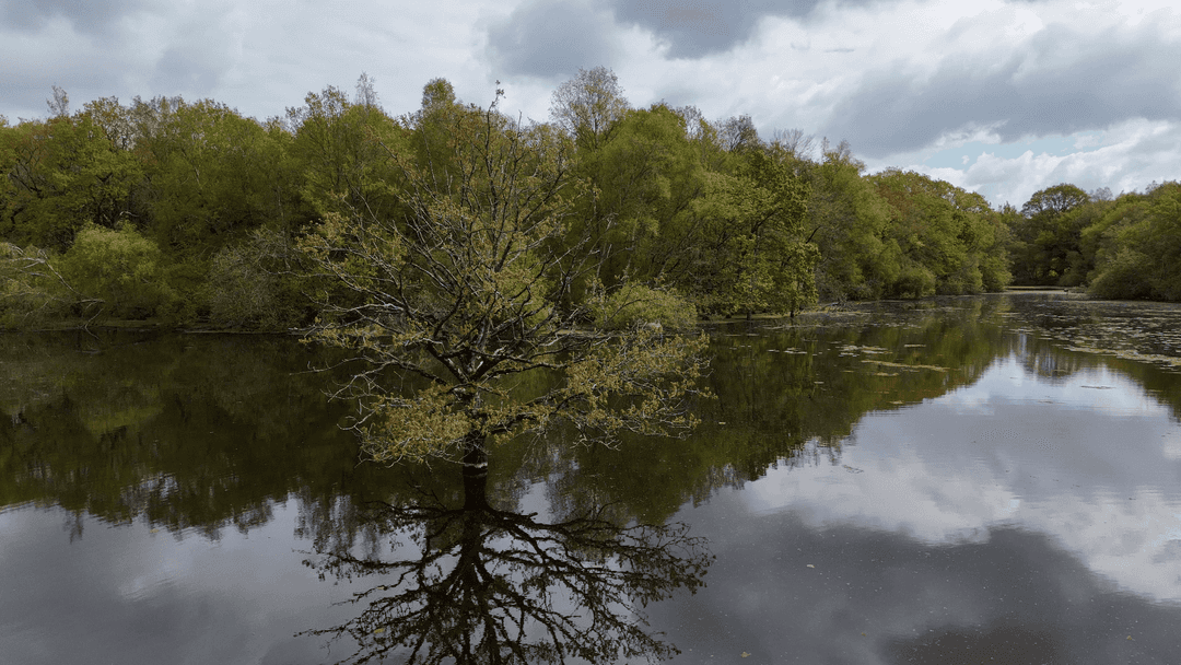 Etang de 20ha avec cabane perchée sur l’eau 