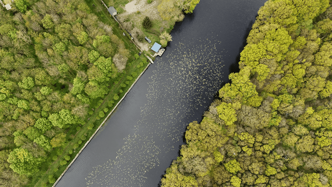 Etang de 20ha avec cabane perchée sur l’eau 