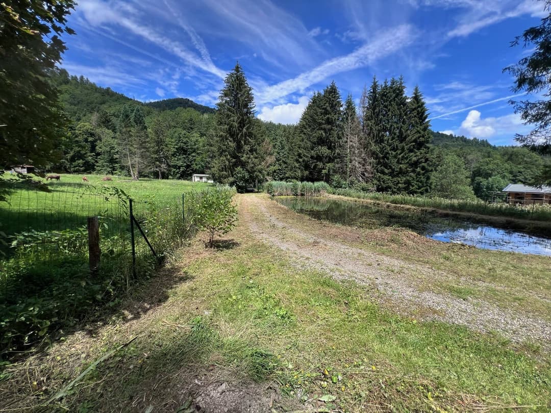 Etang à louer de loisir pour une journée au coeur de la nature 