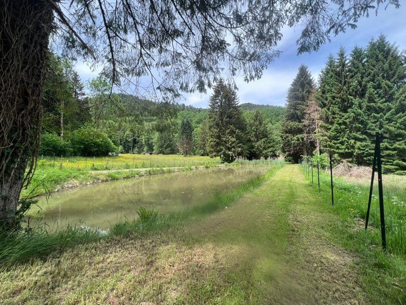 Etang à louer de loisir pour une journée au coeur de la nature 