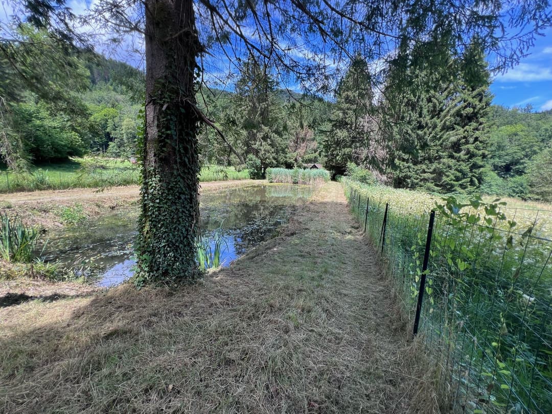 Etang à louer de loisir pour une journée au coeur de la nature 