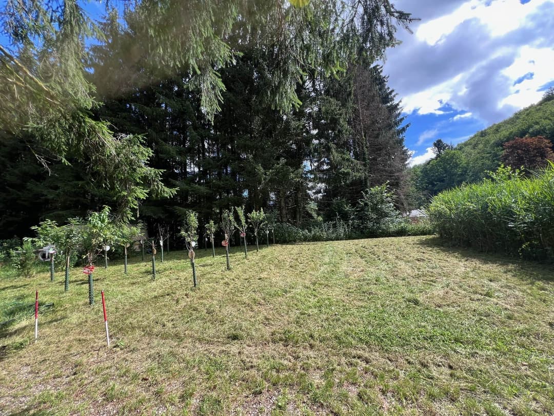 Etang à louer de loisir pour une journée au coeur de la nature 