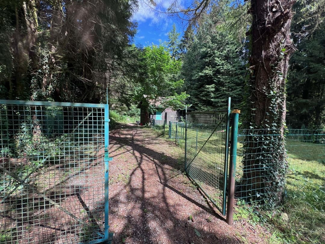Etang à louer de loisir pour une journée au coeur de la nature 