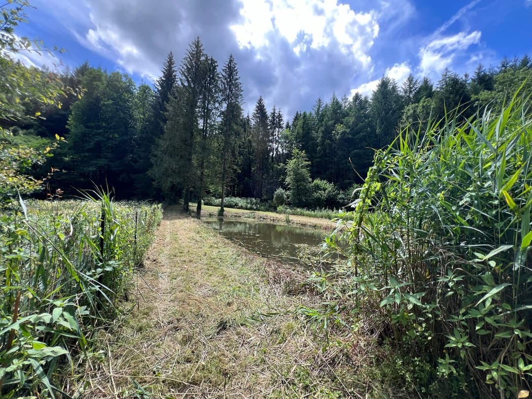 Etang à louer de loisir pour une journée au coeur de la nature 