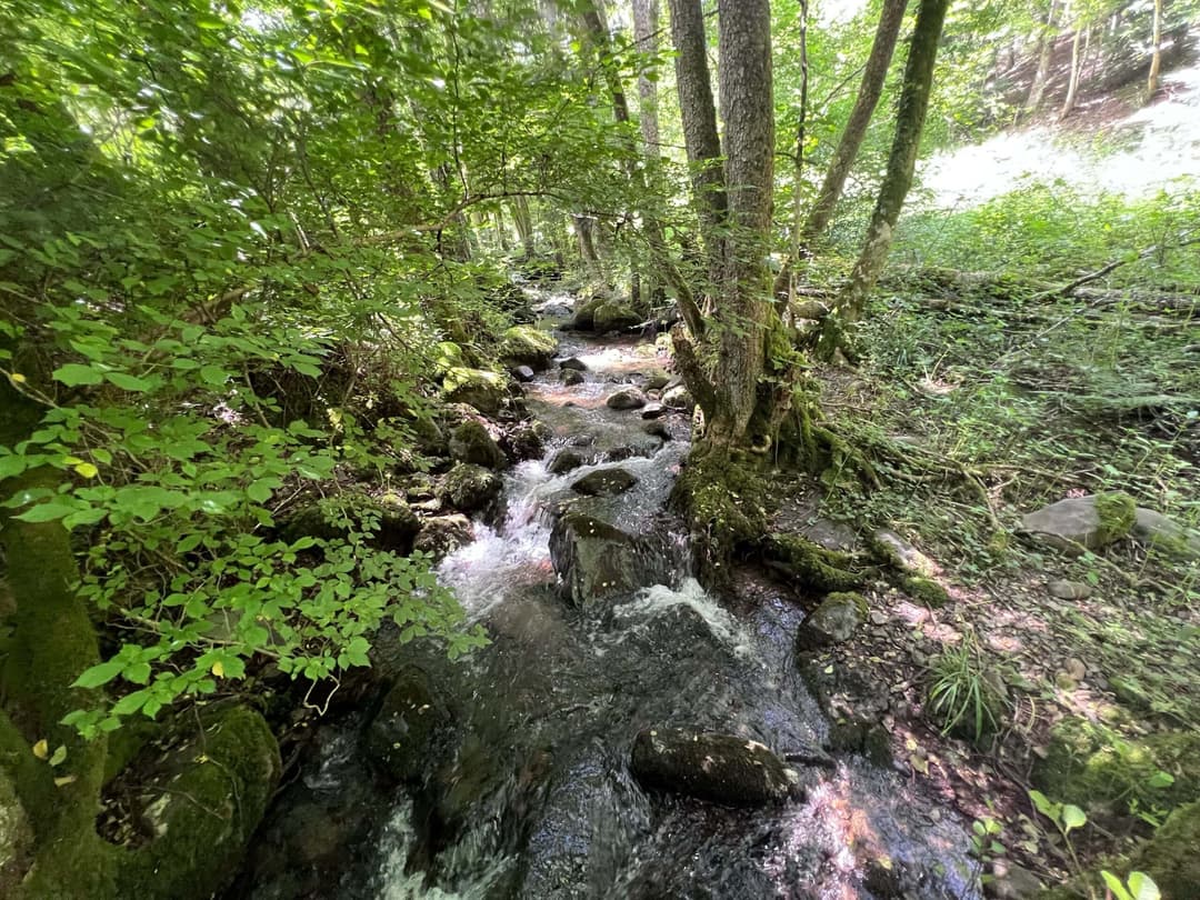 Etang à louer de loisir pour une journée au coeur de la nature 